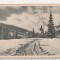 bnk cp Predeal - Vedere din parc - circulata 1956 - Libraria noastra