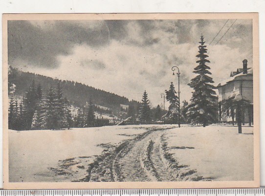 bnk cp Predeal - Vedere din parc - circulata 1956 - Libraria noastra