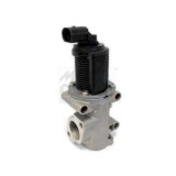 Meat &amp;amp; Doria Supapa EGR