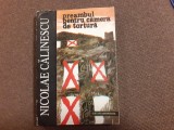 Preambul pentru camera de tortura. Editura Marineasa, 1994 &ndash; Nicolae Calinescu