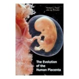 The evolution of the human placenta