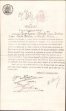 A279 Mărturie, act notorietate publică, certificare identitate francez naturalizat, Dorohoi, 1913