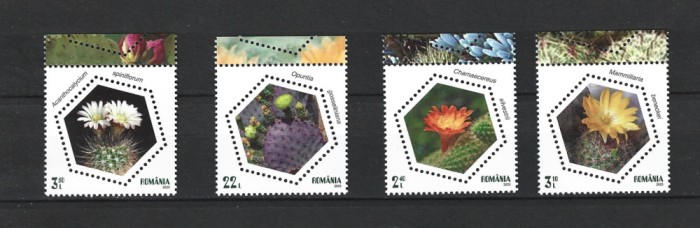 ROMANIA 2023 - CACTUSI, MNH - LP 2438