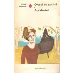 Orasul Cu Salcami. Accidentul - Mihail Sebastian
