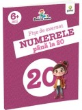 Cumpara ieftin Fise de exersat. Numerele pana la 20/***