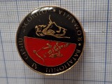 insigna batalionul 53 geniu