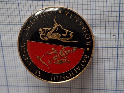 insigna batalionul 53 geniu foto