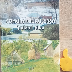 Comuna Ciuruleasa judetul Alba Studiu monografic Ioan Cioara