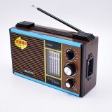 Radio Portabil ,FM,MW,SW1-9 11 benzi ,LEOTEC LT-2009