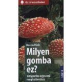 Milyen gomba ez? - 170 gomba egyszerű meghat&aacute;roz&aacute;sa - Marcus Fl&uuml;ck