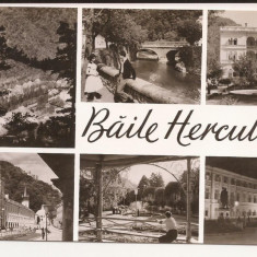 Carte Postala veche Romania-Baile Herculane ,Circulata 1965