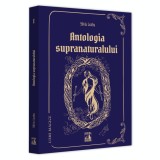 Lumi magice I ? antologia supranaturalului, Silviu Leahu