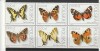 Fauna ,fluturi,Polonia, Nestampilat