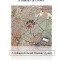 Mysterious Ways: A Murder of Crows