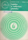 Lumina si Inflorirea Plantelor