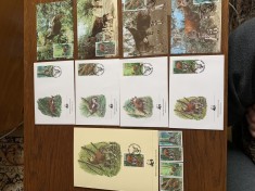 zair - serie 4 timbre MNH, 4 FDC, 4 maxime, fauna wwf