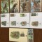 zair - serie 4 timbre MNH, 4 FDC, 4 maxime, fauna wwf