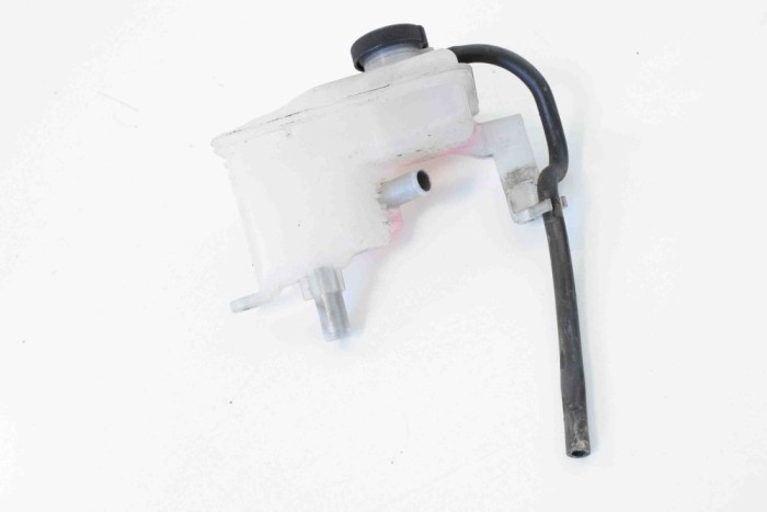 Vas de expansiune LEXUS RX _U3_ 2007 10018957