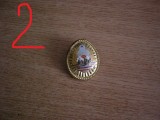 QW14 - Emblema militara / cuc - mica - uscat - comunism - piesa de colectie