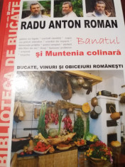 BANATUL SI MUNTENIA COLINARA RADU ANTON ROMAN foto