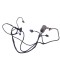 Cablaj senzor de parcare spate MERCEDES-BENZ R W251, V251 2006 OEM: A2515404206 15506901