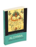 Alchimia. Maestrul si Marea Opera &ndash; Archibald Cockren