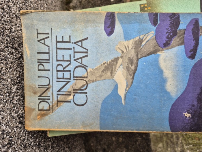 Tinerețe ciudata vintage