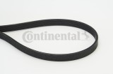CONTINENTAL CTAM 6DPK1817 Curea transmisie cu caneluri