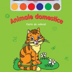 Animale domestice - Miracolul culorilor - Carte de colorat