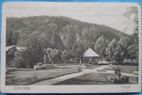 Carte Postala, Caciulata, Parcul, 1926