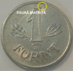 Moneda 1 FORINT - RP UNGARA / UNGARIA, anul 1981 *cod 1058 A.UNC+ EROARE MATRITA foto