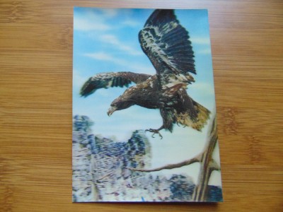 Carte Postala 3D -Japan foto