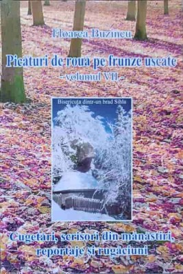 PICATURI DE ROUA PE FRUNZE USCATE VOL.VII-FLOAREA BUZINCU-222448 foto