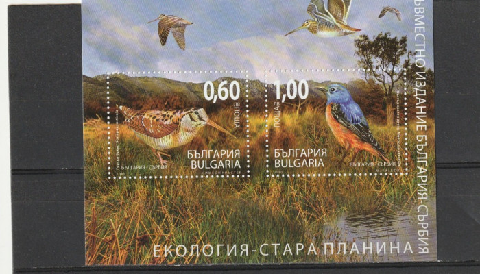 Fauna pasari serie comuna Serbia,Bulgaria.