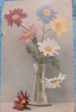 Carte postala, Felicitare cu un vas cu flori, 1924