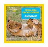 Animale. Prima mea enciclopedie. National Geographic - Hardcover - *** - Litera mică