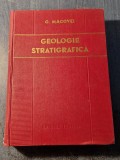 Geologie stratigrafica Gheorghe Macovei