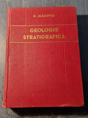 Geologie stratigrafica Gheorghe Macovei foto