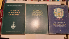 Teologia Dogmatica Ortodoxa - Pr. Prof. Dr. Dumitru Staniloae (3 vol.) foto