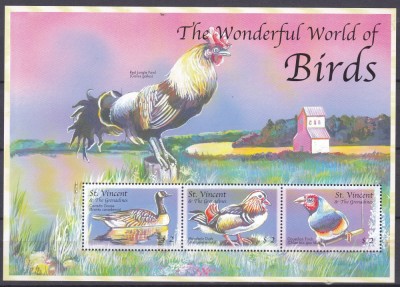 DB1 Fauna Pasari St. Vincent &amp;amp; Grenadines MS MNH II foto