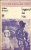 Ingerul de foc Valeri Briusov Roman Istoric Editura Univers 1976 Carti Clasice Literatura Straina Editie de Colectie
