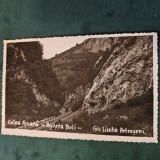 Fotografie Petrosani Calea Ferata - Pestera Boli