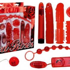 9 Piese Red Roses Set