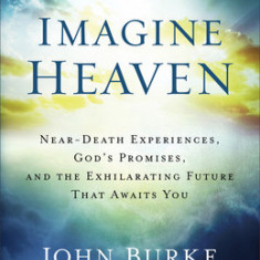 Imagine Heaven: Near-Death Experiences, God's Promises, and the Exhilarating Future That Awaits You