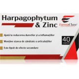 FarmaClass Industry Harpagophytum &amp; zinc capsule pentru mușchi, articulații și tendoane 40 caps.