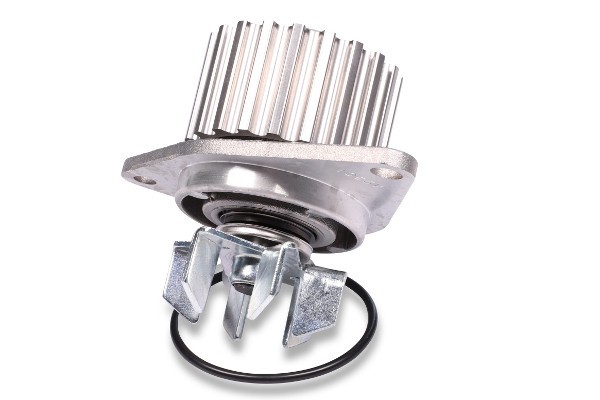 HEPU P813 Pompă de apă, răcire motor