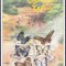 DB1 Fauna Zambia Fluturi MS MNH