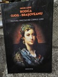 Rodica Ojog-Brasoveanu - Vulturul dincolo de cornul lunii
