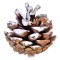 Set Conuri Decorative, Ninse, Insertii Pomușoare Roșu, Lemn, Diametru 5cm, 20 Bucăți