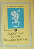 Sa cultivăm plante in clasa și acasă - El. Petrică/ El. Mantu